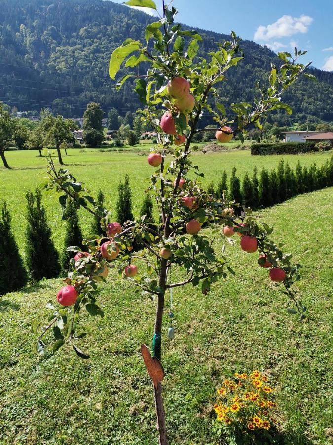 Apartment - Ferienwohnung 2 Treffen Am Ossiachersee ภายนอก รูปภาพ